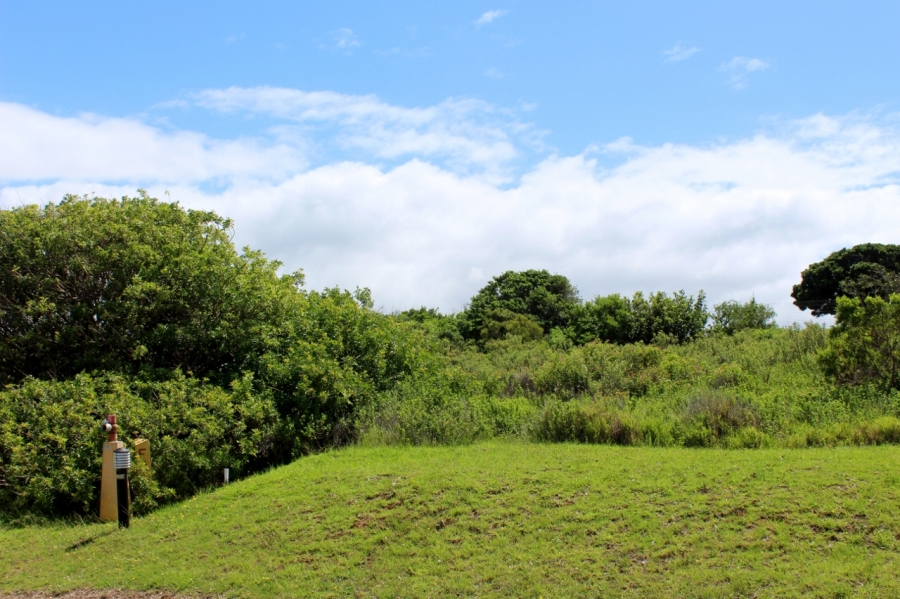 0 Bedroom Property for Sale in Forest Downs Eastern Cape